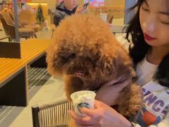 -星巴克(南宁华润幸福里店)