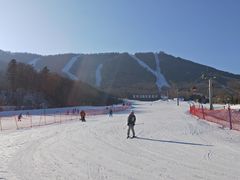 -亚布力新体委滑雪场