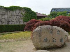 -嘉定紫藤园