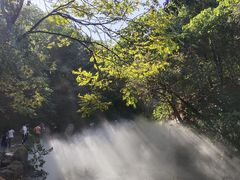 -北京西山国家森林公园