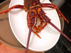 小青龙-蝶园·装修中(BFC外滩金融中心店)