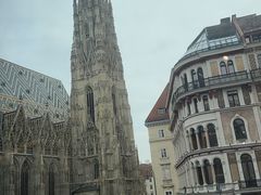 -斯蒂芬主教座堂(Stephansdom)