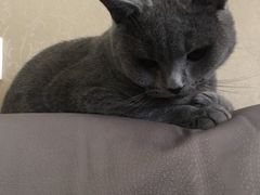 -福瑞记老孙头biangbiang面(新生路店)