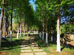 -云南艺术学院(呈贡校区)