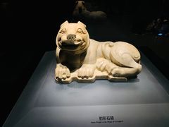 -徐州博物馆