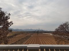 -北京张裕爱斐堡酒庄