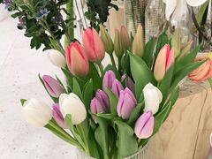 -Flower in(密渡桥店)