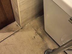 -秦皇岛阿尔卡迪亚滨海度假酒店