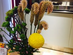 -代数学家algebraist(诚品店)