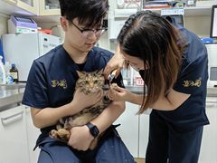 -喜多萌中农锦绣动物医院24H·猫科·牙科MRI·CT