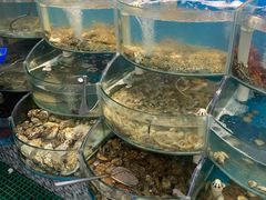 -仙螺岛海鲜自助餐厅(总店)