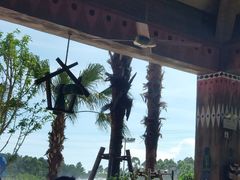 -美的鹭湖探索王国