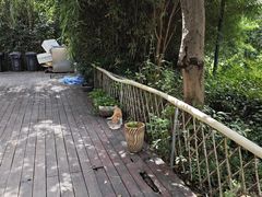 -九鼎轩脆毛肚火锅(商业街店)