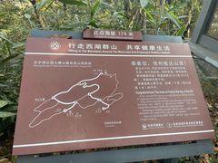 -九曜山