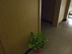 -耳湾躺式采耳SPA馆(保利五月花店)