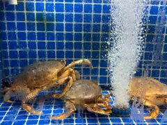 -碧海银沙海鲜餐厅(恒大海上威尼斯店)