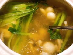 野山菌炖鱼圆-常州新城希尔顿酒店-御玺中餐厅