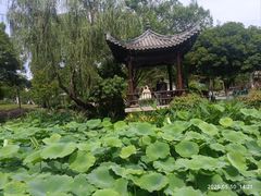 -武汉园博园(武汉自然博物馆)
