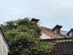 -山塘街