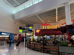 -纽瓦克自由国际机场