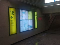 -大龙山(地铁站)