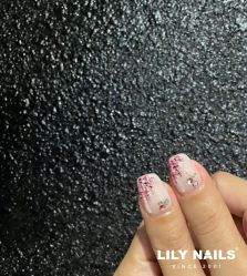 -LILY NAILS美甲美睫
