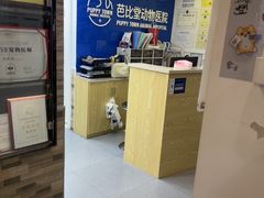 -芭比堂动物医院·心脏科·老年急重症·夜诊·吉雅分院