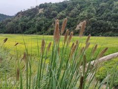 -南泥湾风景区