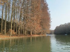 -上海海湾国家森林公园