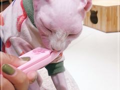 -藏猫猫咖啡主题馆(中央大道店)