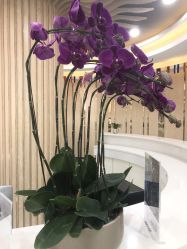 -润泽瑞尼丝医疗美容医院