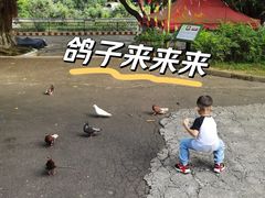 -三水森林公园