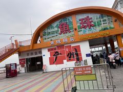 -长洲岛