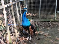 -林丰温泉度假山庄