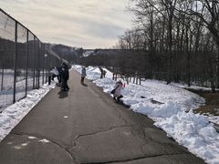 -钏路市丹顶鹤自然公园