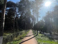 -黑龙江省森林植物园