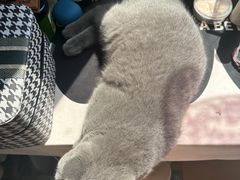 -美联众合24小时·皮肤科·外科·全科诊疗中心(华苑分院)