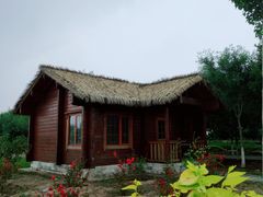 -西青郊野公园