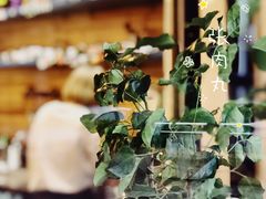 -Be Lived Cafe比例咖啡(摩天轮店)