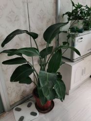 -茜茜美妍堂·华熙生物·甜朵体验中心
