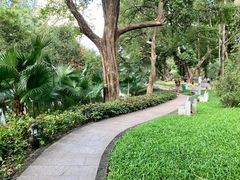 -晓港公园