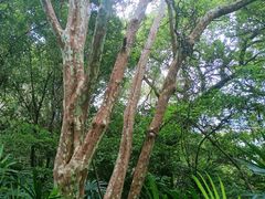 -水濂山森林公园