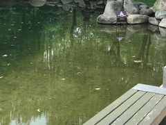 -唐城墙遗址公园