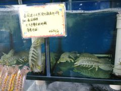 水产区-蚝专家(北滘店)