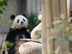 -成都动物园