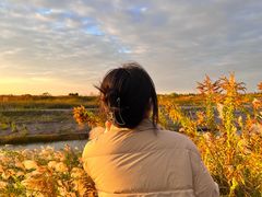 -南汇嘴观海公园