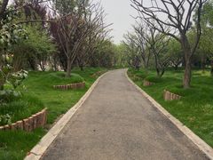 -无锡梅园公园