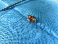 -东莞健力口腔医院