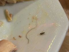 -晓琦农家菜馆·地道农家菜