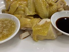 -渔鸽皇酒楼(鸿大广场店)